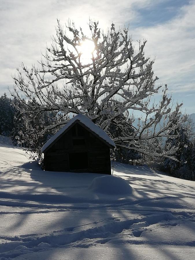 Ausblickhof Geiger Lägenhet Egg Exteriör bild